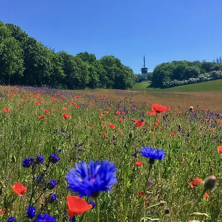 Haus Concordia 2 Sundowner